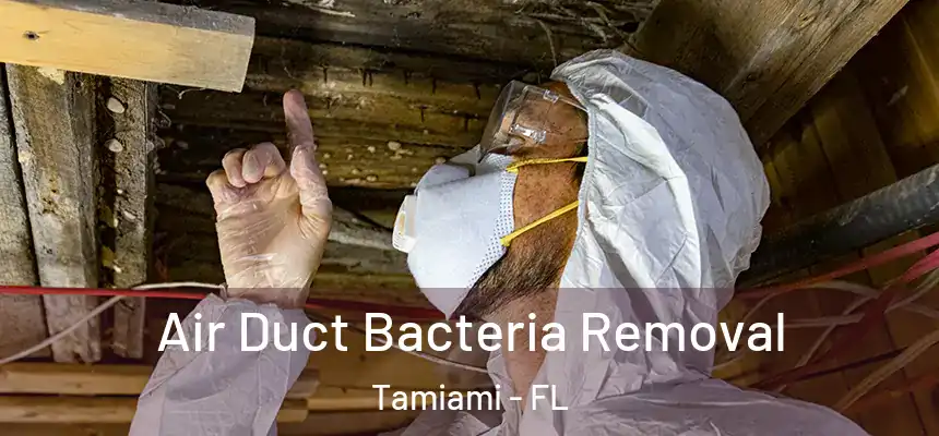 Air Duct Bacteria Removal Tamiami - FL