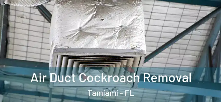 Air Duct Cockroach Removal Tamiami - FL