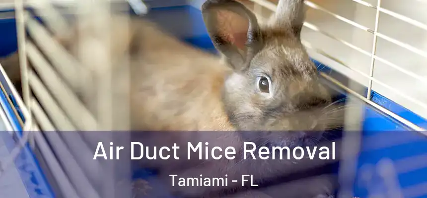 Air Duct Mice Removal Tamiami - FL