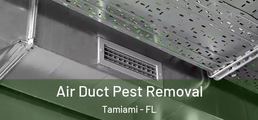 Air Duct Pest Removal Tamiami - FL