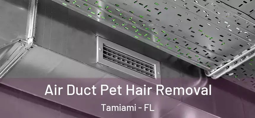 Air Duct Pet Hair Removal Tamiami - FL