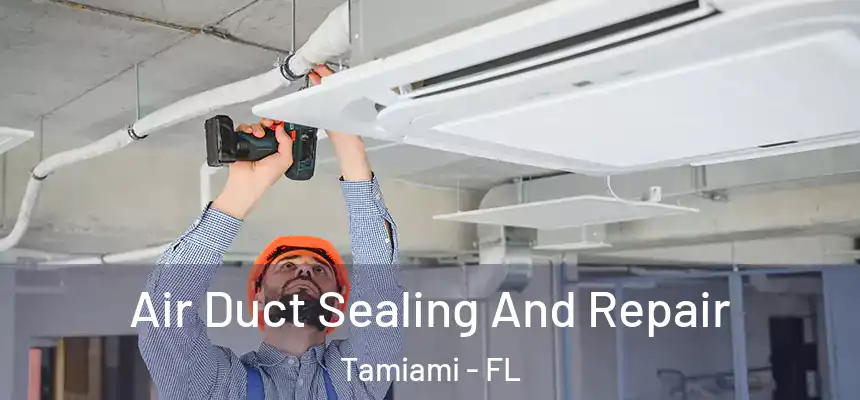 Air Duct Sealing And Repair Tamiami - FL