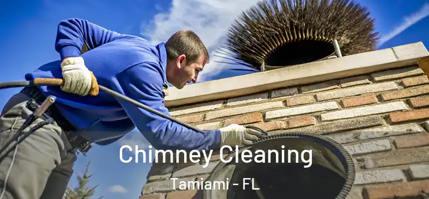Chimney Cleaning Tamiami - FL