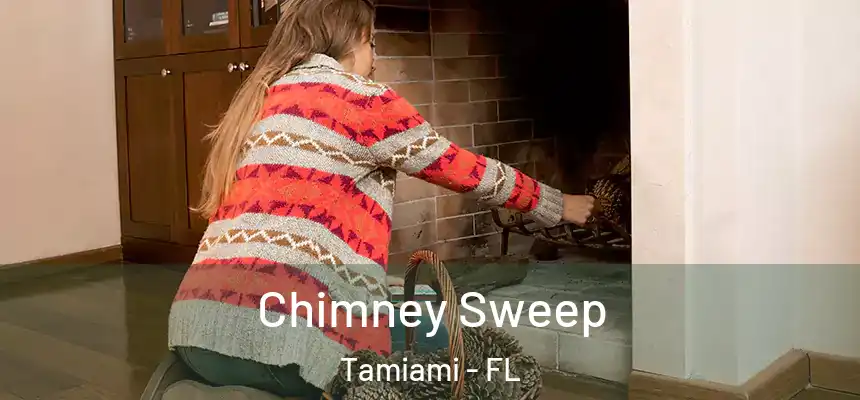 Chimney Sweep Tamiami - FL