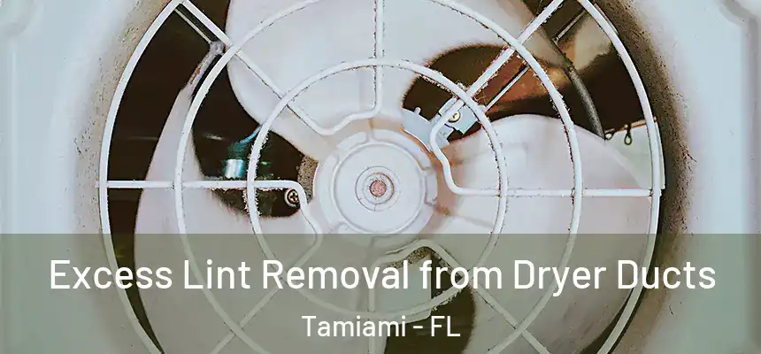 Excess Lint Removal from Dryer Ducts Tamiami - FL