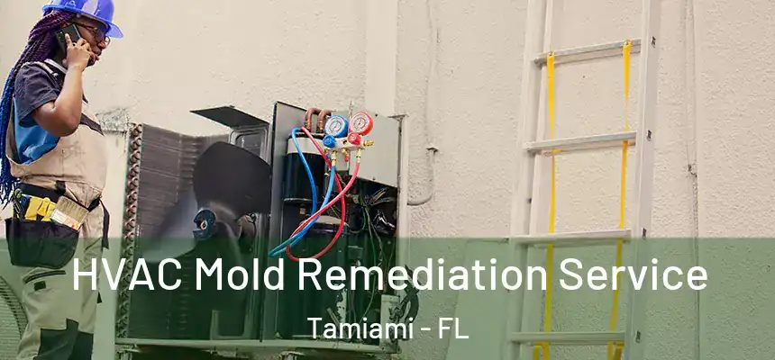 HVAC Mold Remediation Service Tamiami - FL