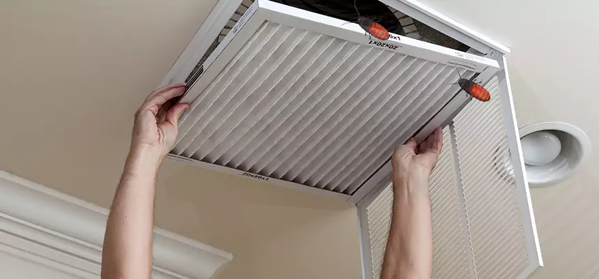 Preventive Cockroach-Proofing for Ducts in Tamiami