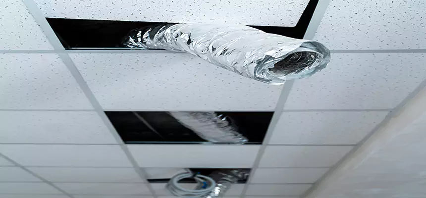 Our Air Duct Pet Hair Removal Services in Tamiami, FL