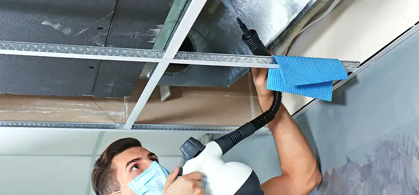 Our Air Duct Rodent Removal Services in Tamiami, FL