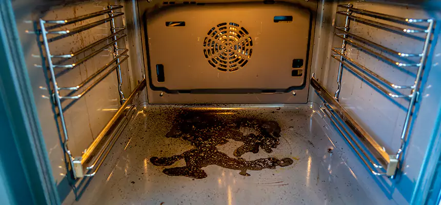 Our Dryer Vent Mold Cleaning Services in Tamiami, FL