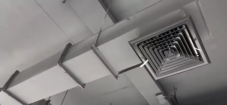 Our Rodent Droppings In Vents Services in Tamiami, FL