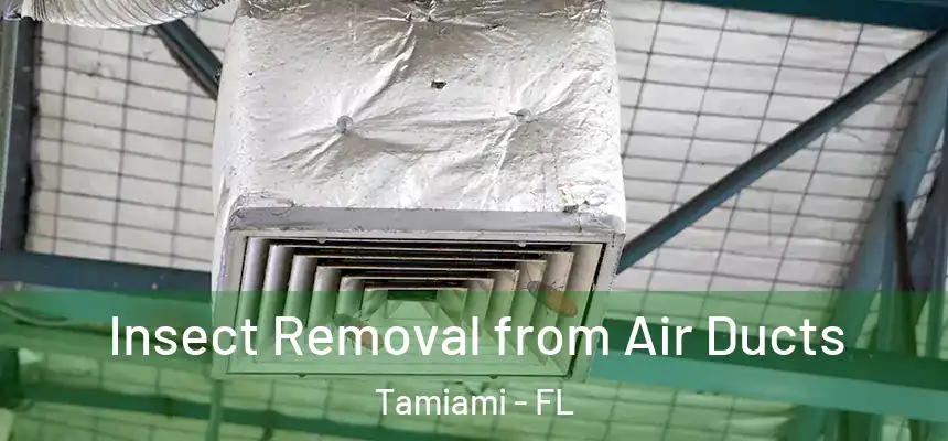 Insect Removal from Air Ducts Tamiami - FL