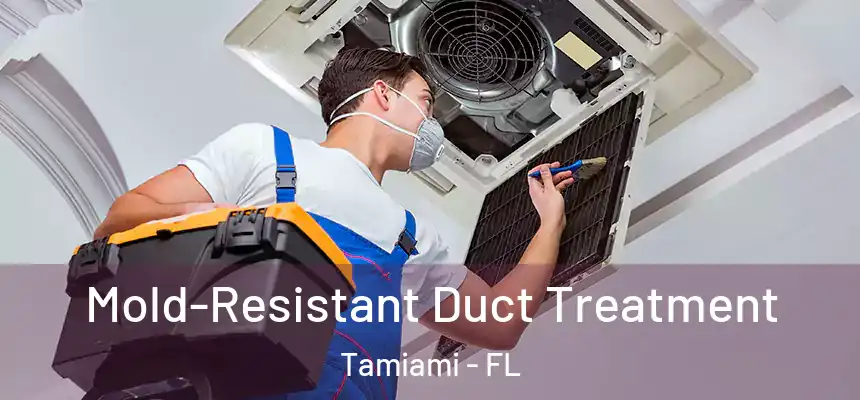 Mold-Resistant Duct Treatment Tamiami - FL