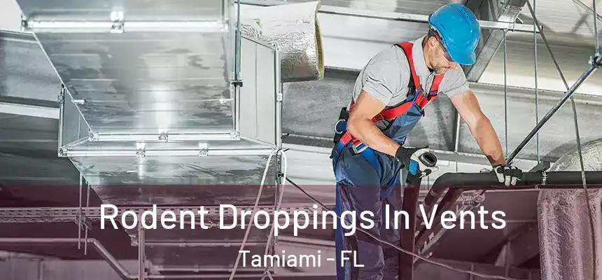 Rodent Droppings In Vents Tamiami - FL