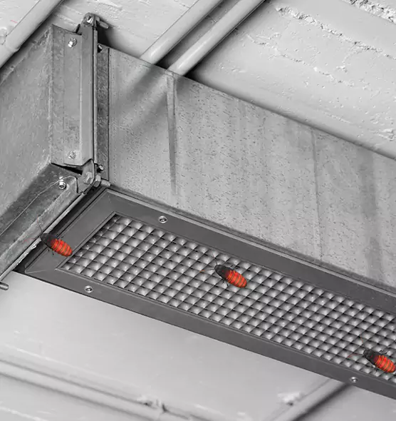 About Air Duct Cockroach Removal in Tamiami, FL