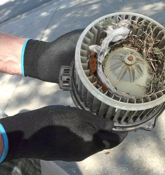 About Air Duct Rat Removal in Tamiami, FL