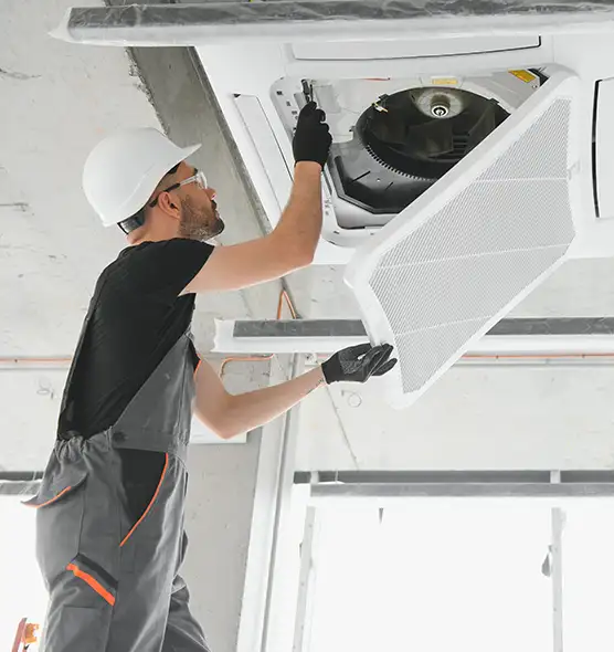 About Air Duct Rodent Removal in Tamiami, FL