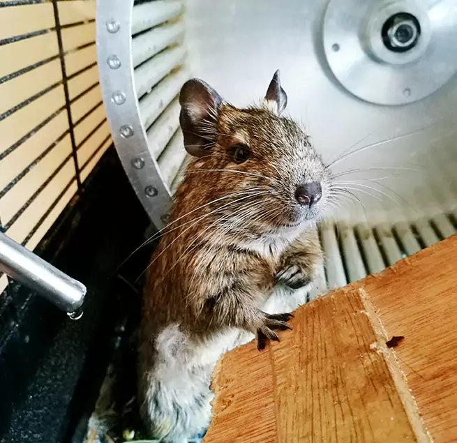 Why Homeowners & Businesses Trust Us Tamiami, FL