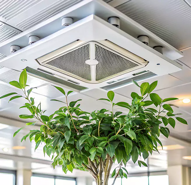 Why Homeowners & Businesses Trust Us in Tamiami, FL