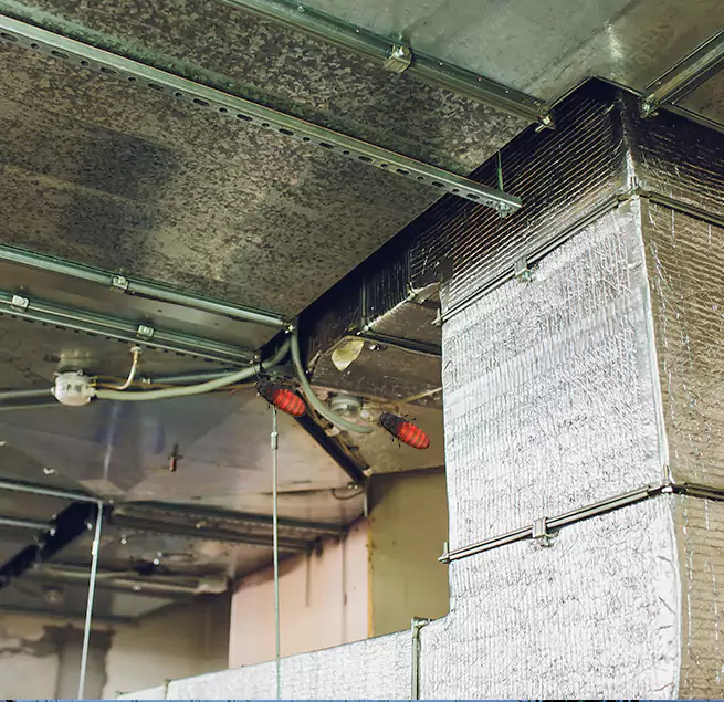 Why Homeowners & Businesses Trust Us Tamiami, FL?